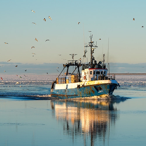 Fermo pesca: che cos’è e perché è così importante per il futuro del mare.