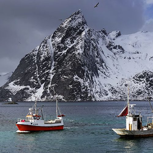SDM_Mondo_Mare_347X347
