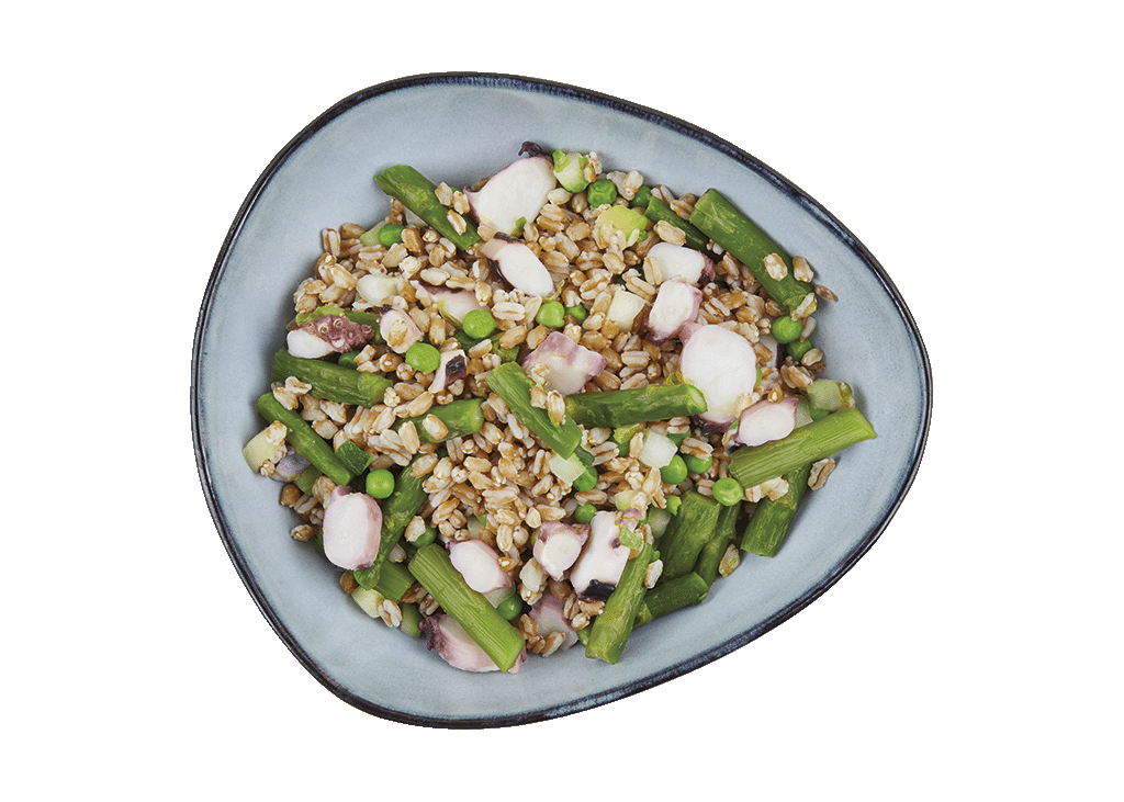 insalata_di_farro_con_totano copy