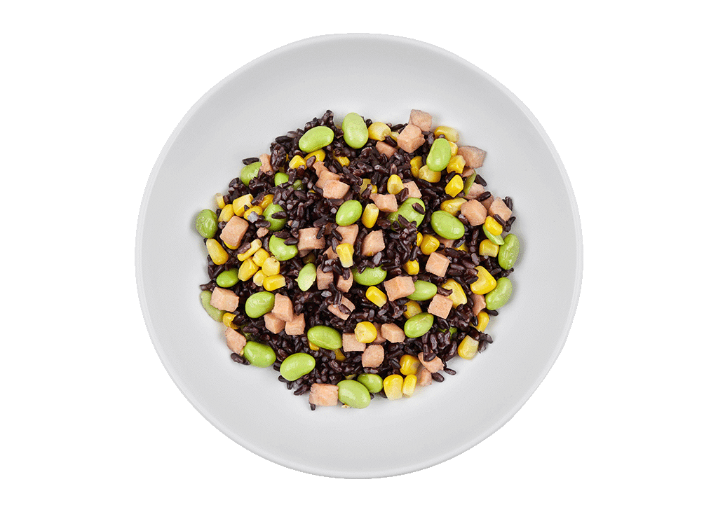 insalata_di_riso_nero_con_salmone