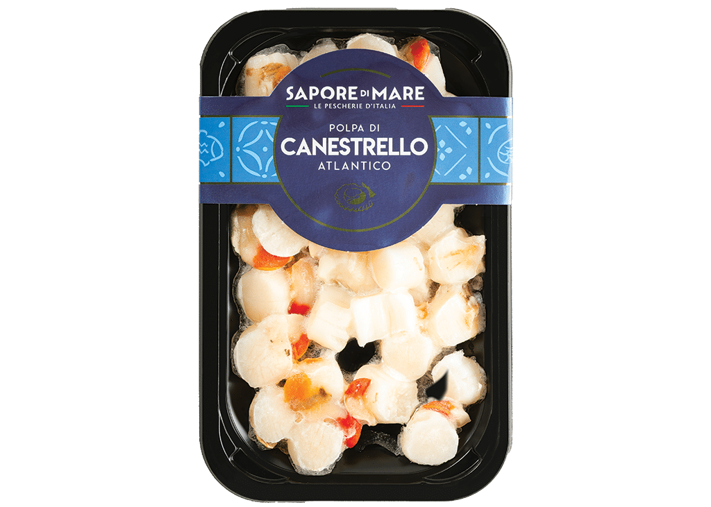 polpa_di_canestrello_atlantico